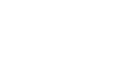 Nova Shine Valeting - logo white